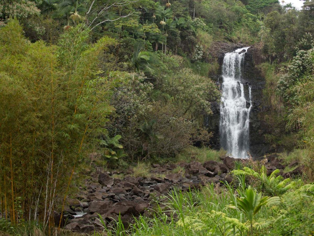 The Inn At Kulaniapia Falls Hilo Exteriör bild
